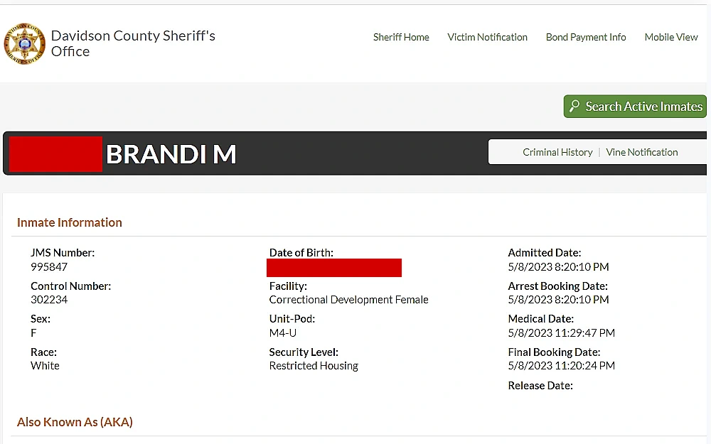 A screenshot of the online database that includes pre-trial detainees and allows users to obtain information about inmates in Davidson County, Tennessee.