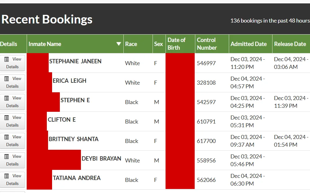 A screenshot of the recent booking log table from the Davidson County Sheriff's Office, showing detainee information including names, race, sex, dates, and control numbers.